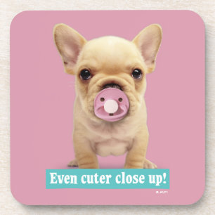 Cute Puppy with Pacifier Drink Coaster