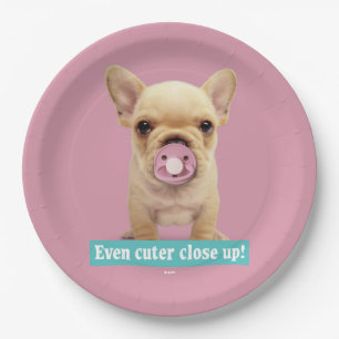Cute Puppy with Pacifier Paper Plates