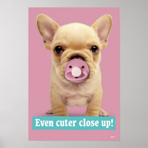 Cute Puppy with Pacifier Poster
