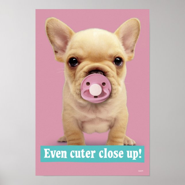 Cute Puppy with Pacifier Poster (Front)