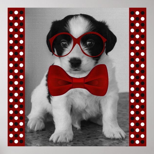 Puppy with deals red bow