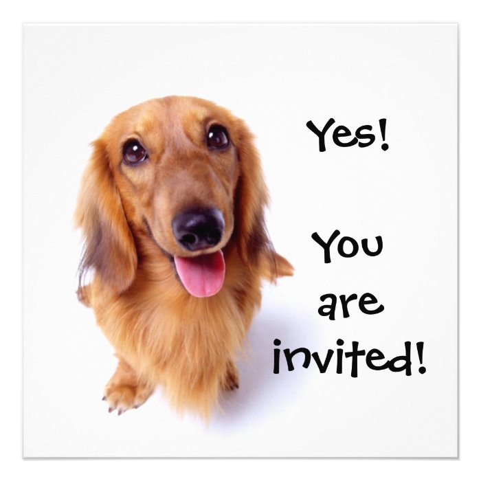 Cute Puppy "You're Invited" Personalized Party