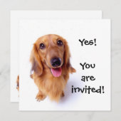 Cute Puppy "You're Invited!" Personalized Party Invitation (Front/Back)