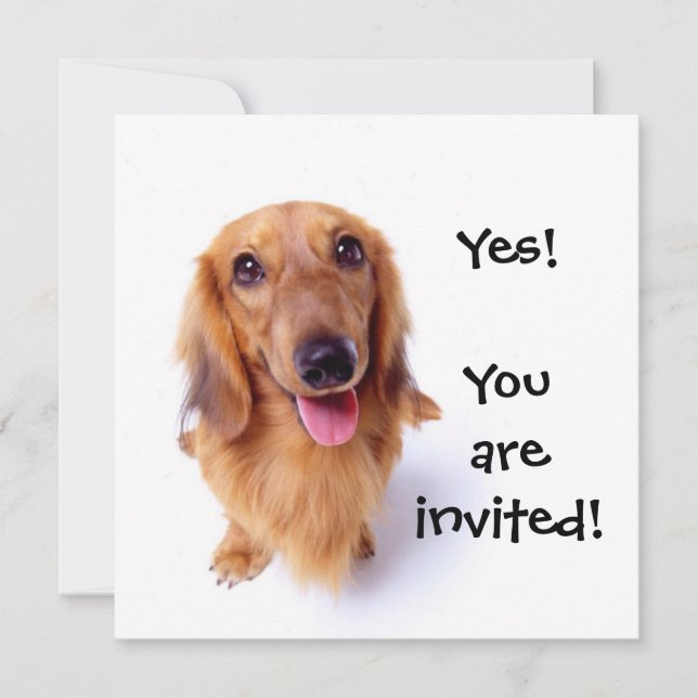 Cute Puppy "You're Invited!" Personalized Party Invitation (Front)