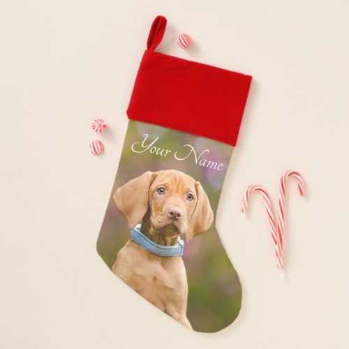 Cute puppyeyed Hungarian Vizsla Dog Puppy _ Name _ Christmas Stocking