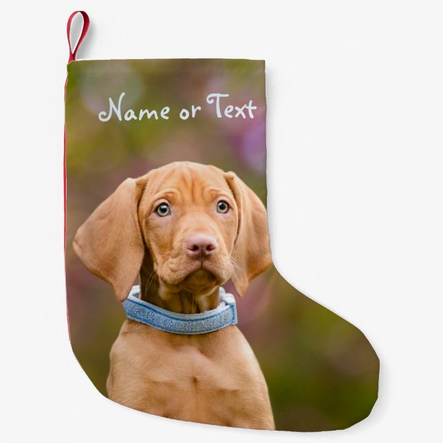 Cute puppyeyed Hungarian Vizsla Dog Puppy - Name Small Christmas Stocking (Front)