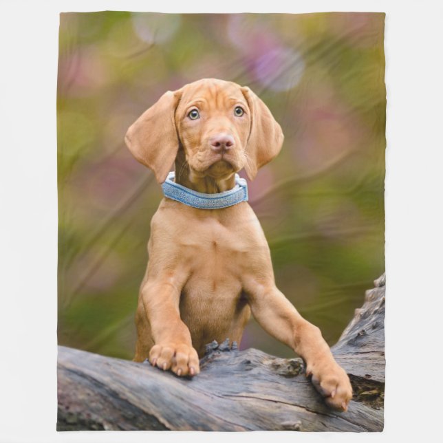 Cute puppyeyed Hungarian Vizsla Dog Puppy Photo __ Fleece Blanket (Front)
