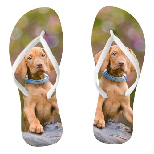 Cute puppyeyed Hungarian Vizsla Dog Puppy Photo __ Flip Flops