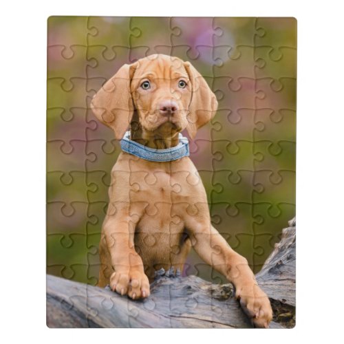 Cute puppyeyed Hungarian Vizsla Dog Puppy Photo  Jigsaw Puzzle