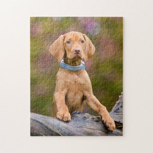 Cute puppyeyed Hungarian Vizsla Dog Puppy Photo  Jigsaw Puzzle