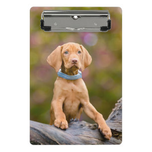 Cute puppyeyed Hungarian Vizsla Dog Puppy Photo // Mini Clipboard
