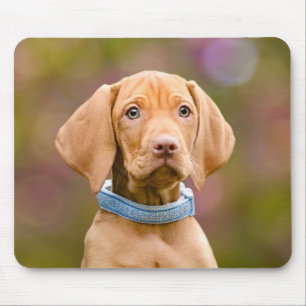 Cute puppyeyed Hungarian Vizsla Dog Puppy Photo : Mouse Pad