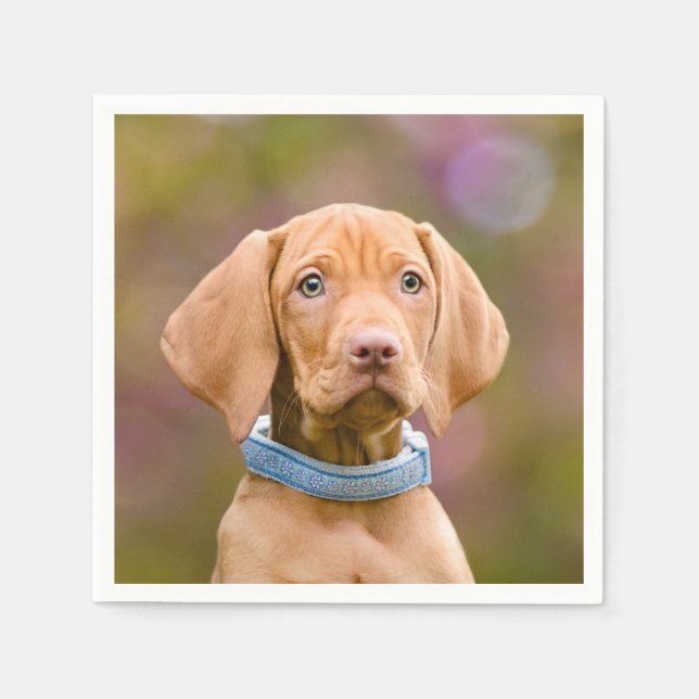 Cute puppyeyed Hungarian Vizsla Dog Puppy Photo /. Napkins (Front)