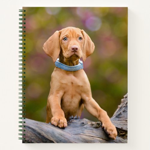 Cute puppyeyed Hungarian Vizsla Dog Puppy Photo  Notebook