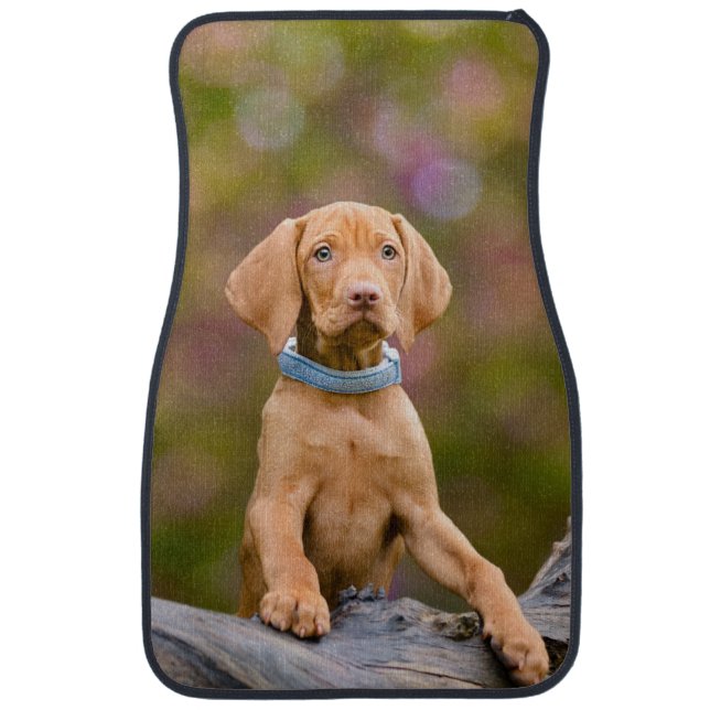 Cute puppyeyed Hungarian Vizsla Dog Puppy Photo on Car Floor Mat (Front)