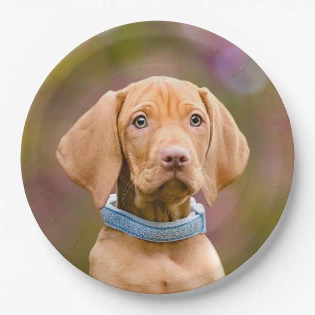 Cute puppyeyed Hungarian Vizsla Dog Puppy Photo " Paper Plates (Front)