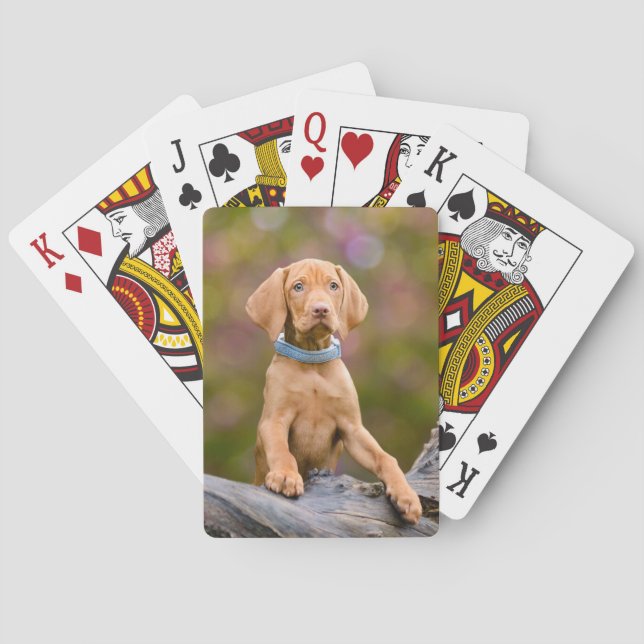 Cute puppyeyed Hungarian Vizsla Dog Puppy Photo /" Poker Cards (Back)