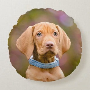 Cute puppyeyed Hungarian Vizsla Dog Puppy Photo -_ Round Pillow