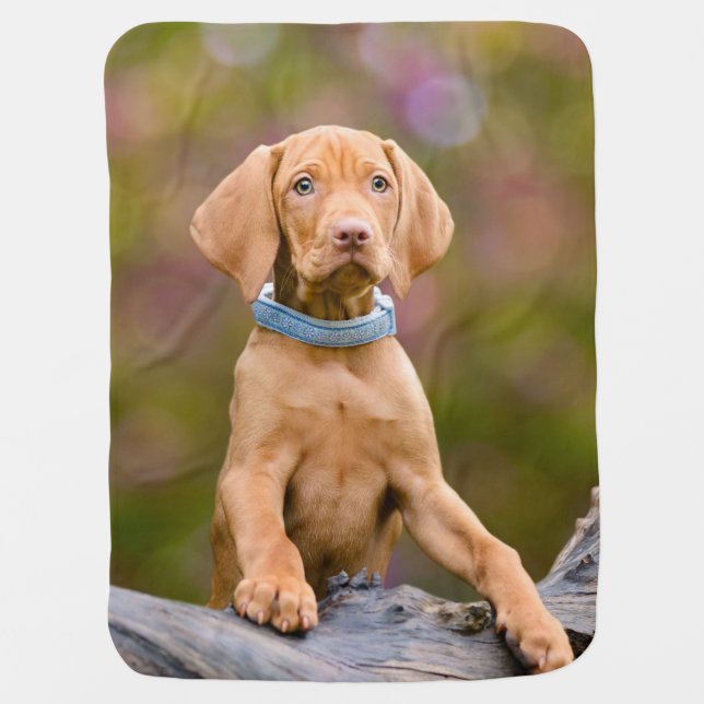 Cute puppyeyed Hungarian Vizsla Dog Puppy Photo _* Swaddle Blanket (Front)
