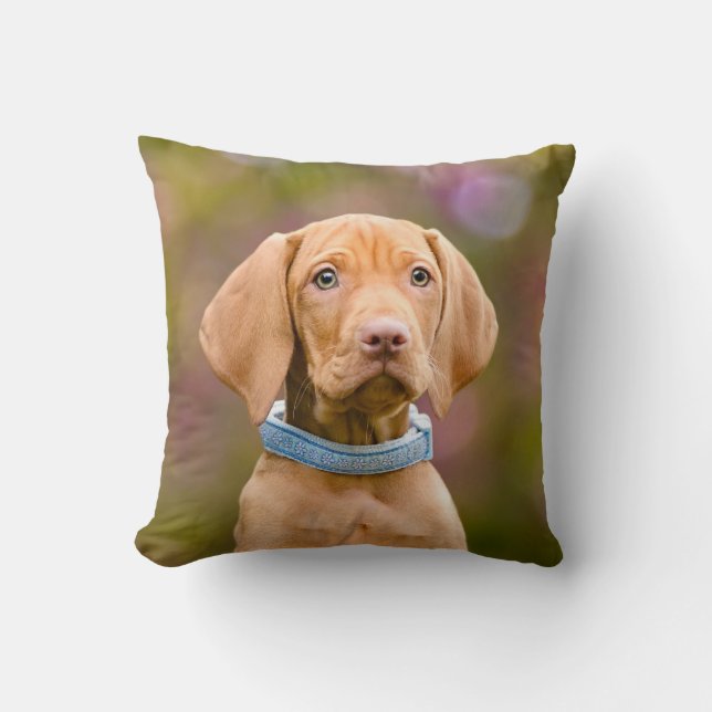 Cute puppyeyed Hungarian Vizsla Dog Puppy Photo - Throw Pillow (Front)