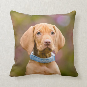 Cute puppyeyed Hungarian Vizsla Dog Puppy Photo - Throw Pillow
