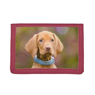 Cute puppyeyed Hungarian Vizsla Dog Puppy Photo . Tri-fold Wallet