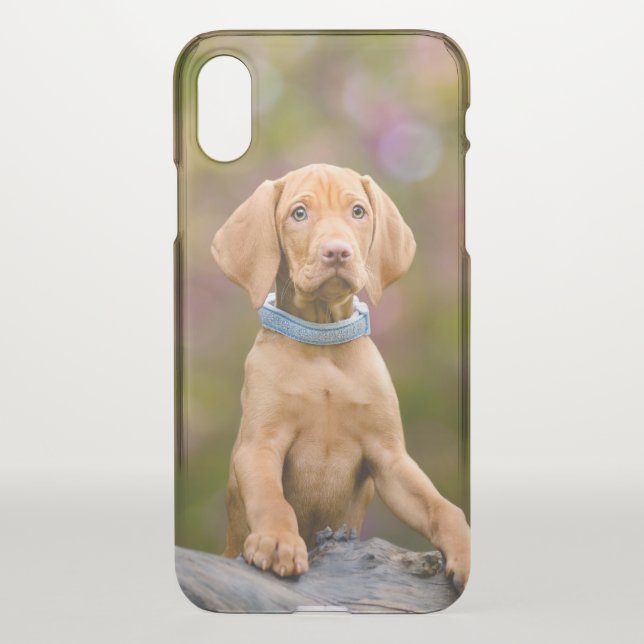 Cute puppyeyed Hungarian Vizsla Dog Puppy Photo -- Uncommon iPhone Case (Back)