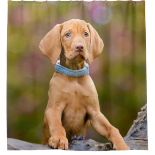 Cute puppyeyed Hungarian Vizsla Dog Puppy - Tub Shower Curtain