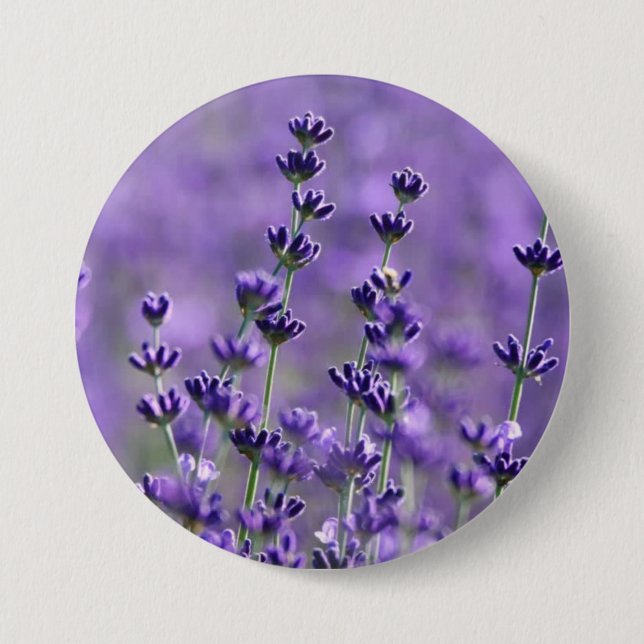 Cute Purple Lavender Flowers Button (Front)