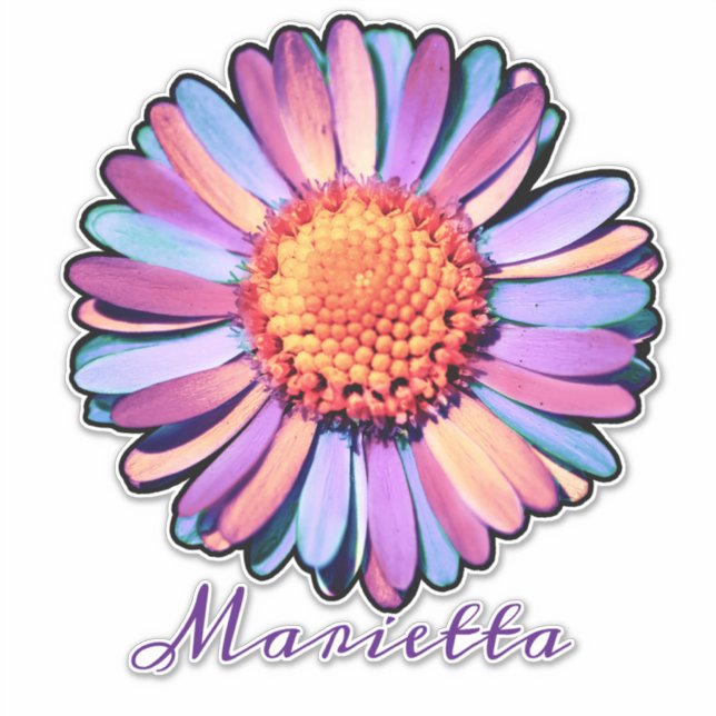   Cute Purple Pink Blue Boho Daisy Personalized Bi Sticker (Front)