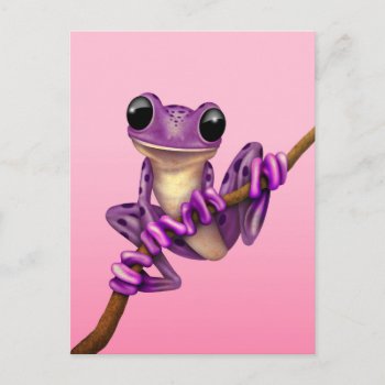 Cute Purple Tree Frog On A Branch On Pink Postcard by crazycreatures at Zazzle