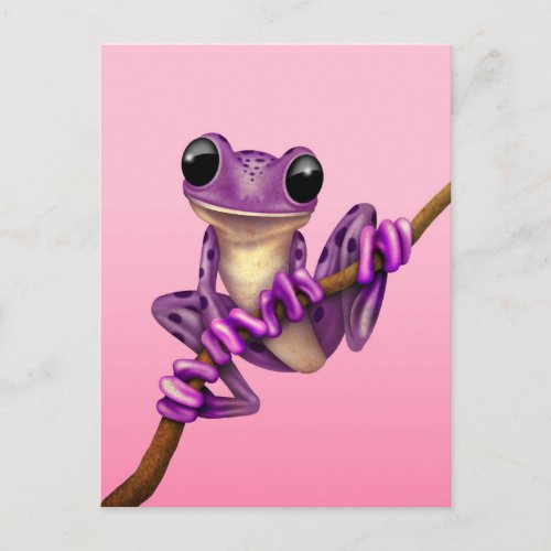 Cute Purple Tree Frog on a Branch on Pink Postcard