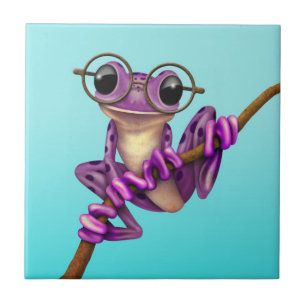 Cute Purple Tree Frog with Eye Glasses on Blue Tile
