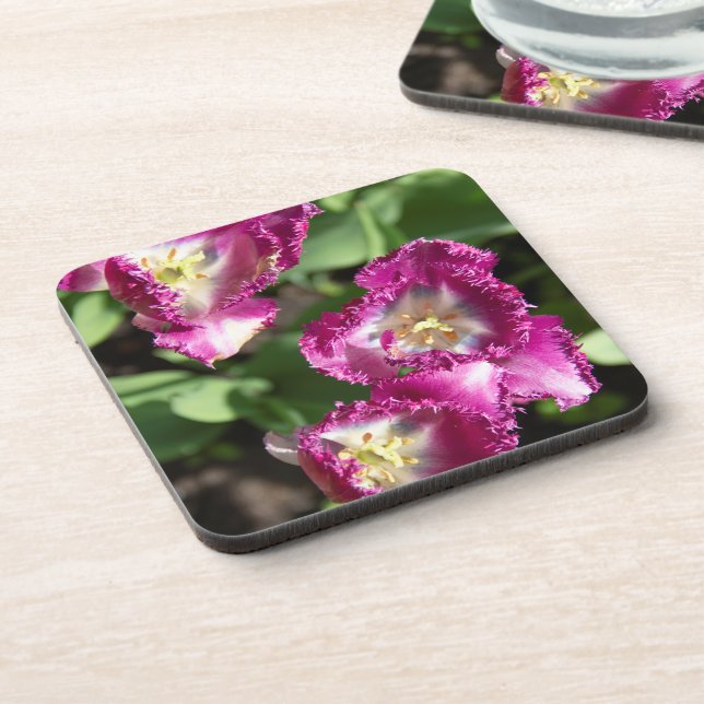 Cute purple  tulips  in the garden beverage coaster (Left Side)