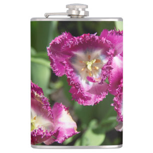 Cute purple tulips in the garden flask