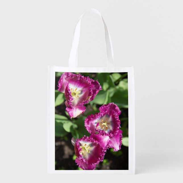 Cute purple  tulips  in the garden  grocery bag (Front)