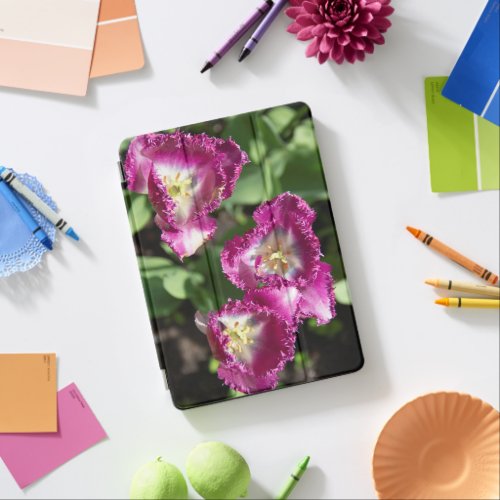 Cute purple  tulips  in the garden  iPad air cover