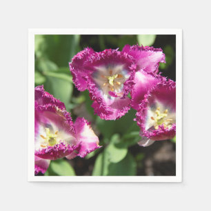 Cute purple  tulips  in the garden  napkins