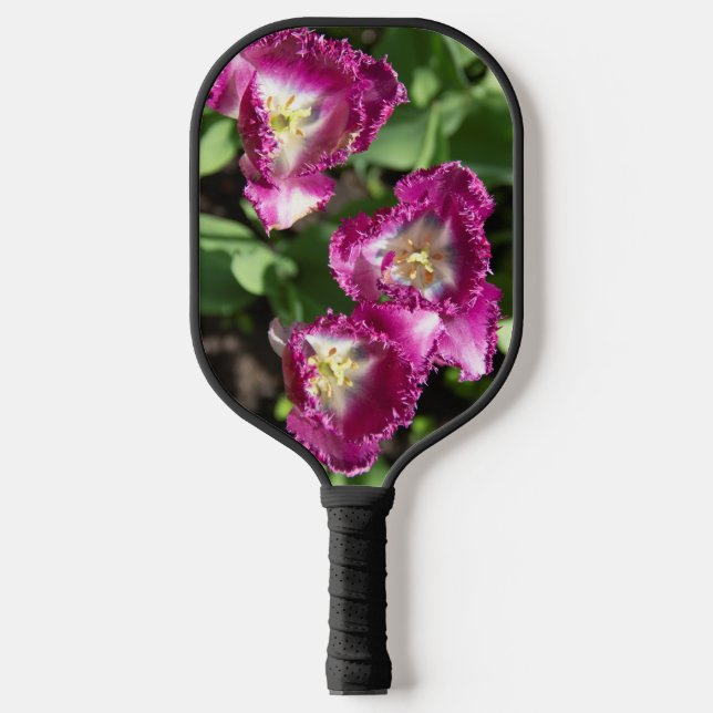Cute purple  tulips  in the garden  pickleball paddle (Front)