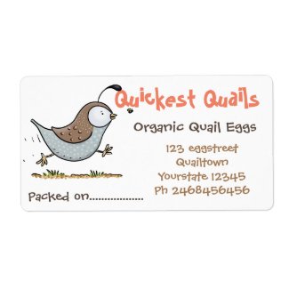 Cute quail eggs cartoon illustration egg carton