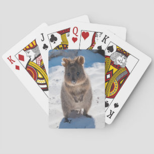 Cute Quokka Animal Beach Wildlife Australia Poker Cards