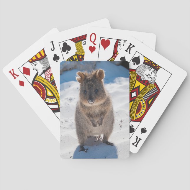 Cute Quokka Animal Beach Wildlife Australia Poker Cards (Back)