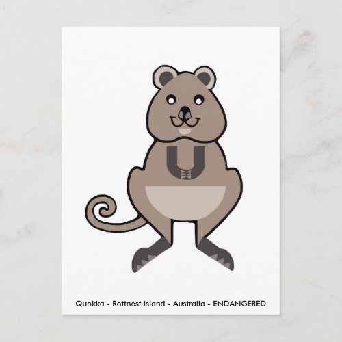 Cute QUOKKA _ Animal lover _ Wildlife _ Marsupial Postcard