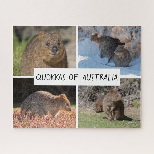Cute Quokka Animal Wildlife Australia 520 pieces Jigsaw Puzzle