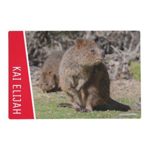 Cute Quokkas Eating Grass Australia Red Placemat