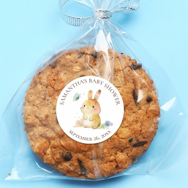 Cute Rabbit Baby Shower Classic Round Sticker (Creator Uploaded)