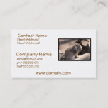 Cute Rabbit Business Card