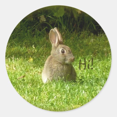 Cute rabbit classic round sticker