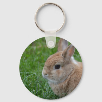 Cute Rabbit Keychain