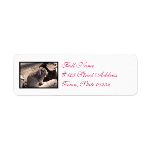 Cute Rabbit Label